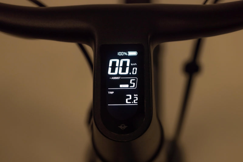 Bird Bike A Frame Gravity Gray