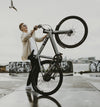 Bird Bike A Frame Zwart