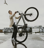 Bird Bike A Frame Zwart
