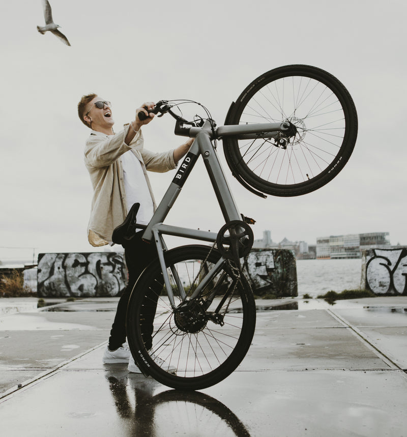 Bird Bike A Frame Zwart