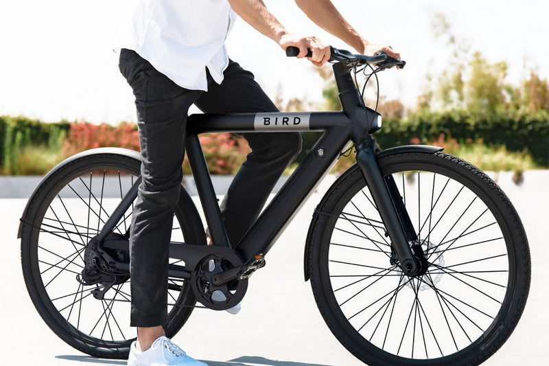 Bird Bike A Frame Zwart