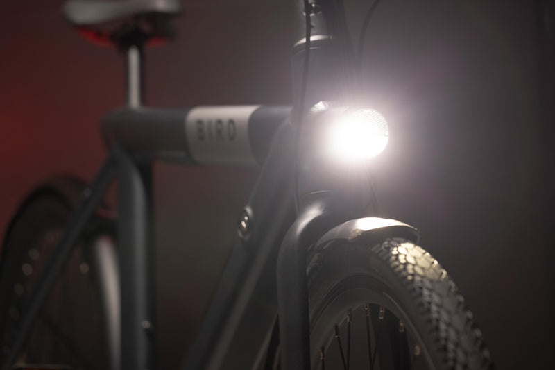 Bird Bike A Frame Zwart